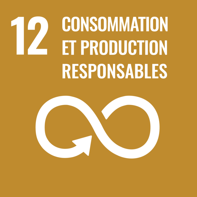 Objectifs de Développement Durable # 12 Consommation et production responsables